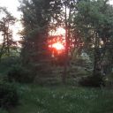 Sonnenaufgang im Waldgarten